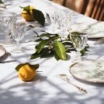 Wedding Entertainment Professionals: What Couples Should Look for When Planning a Wedding